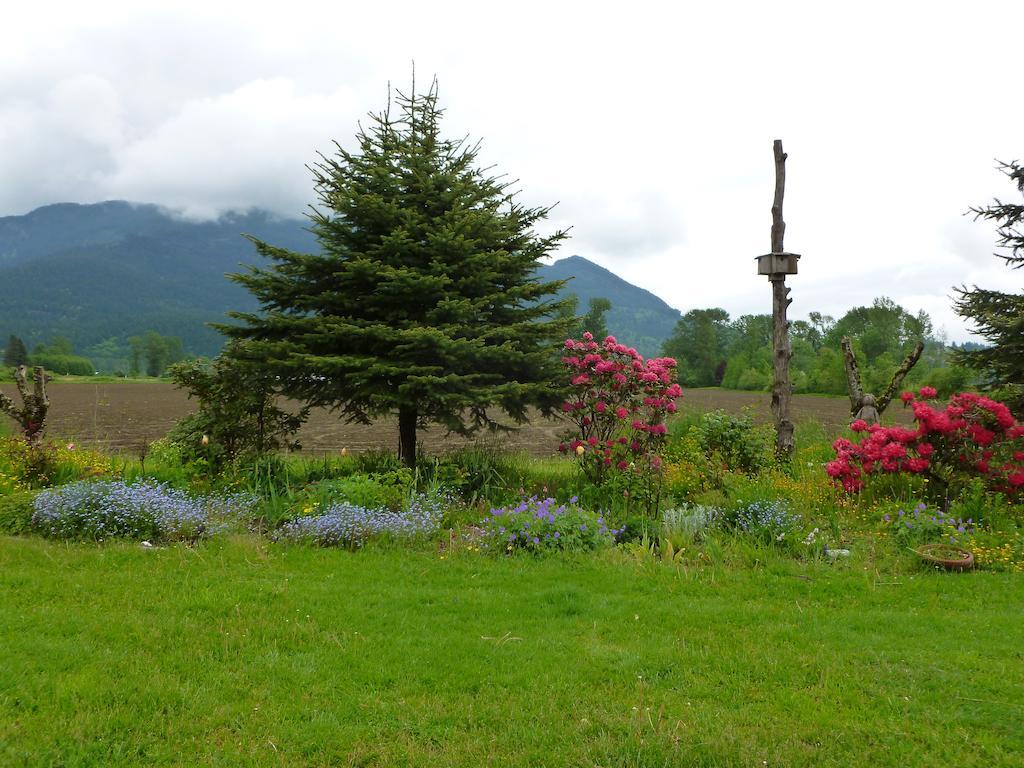 Harrison Hammond House Farmstay Harrison Mills Exteriér fotografie